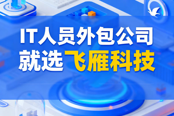 IT人员外包公司怎么选？避开常见坑的实用指南